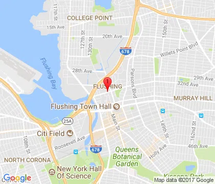 logo-image - flushing-ny